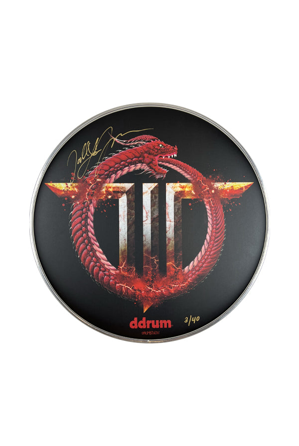 Limited Edition Signed Drum Head - Gold Variant