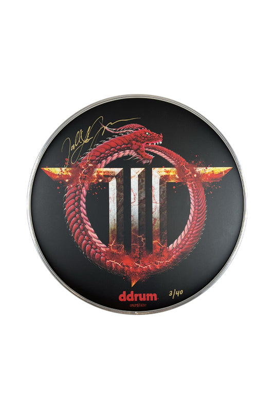 Limited Edition Signed Drum Head - Gold Variant